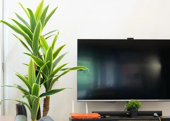 Apartment Tropical Poolhouse Qc *