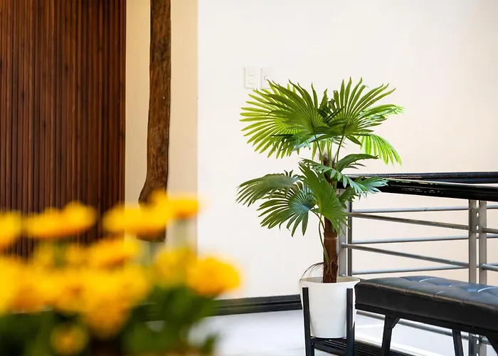 Apartment Tropical Poolhouse Qc *